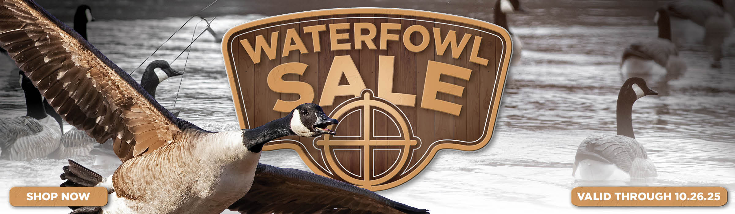 Waterfowl Sale